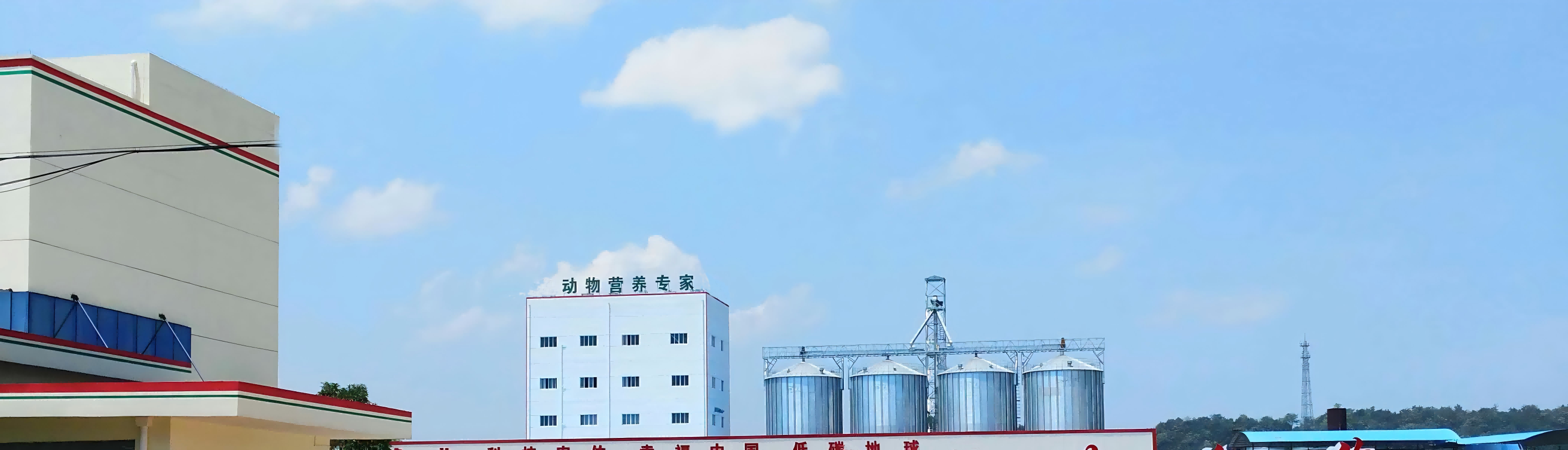 Tianyou Machinery Industrial View