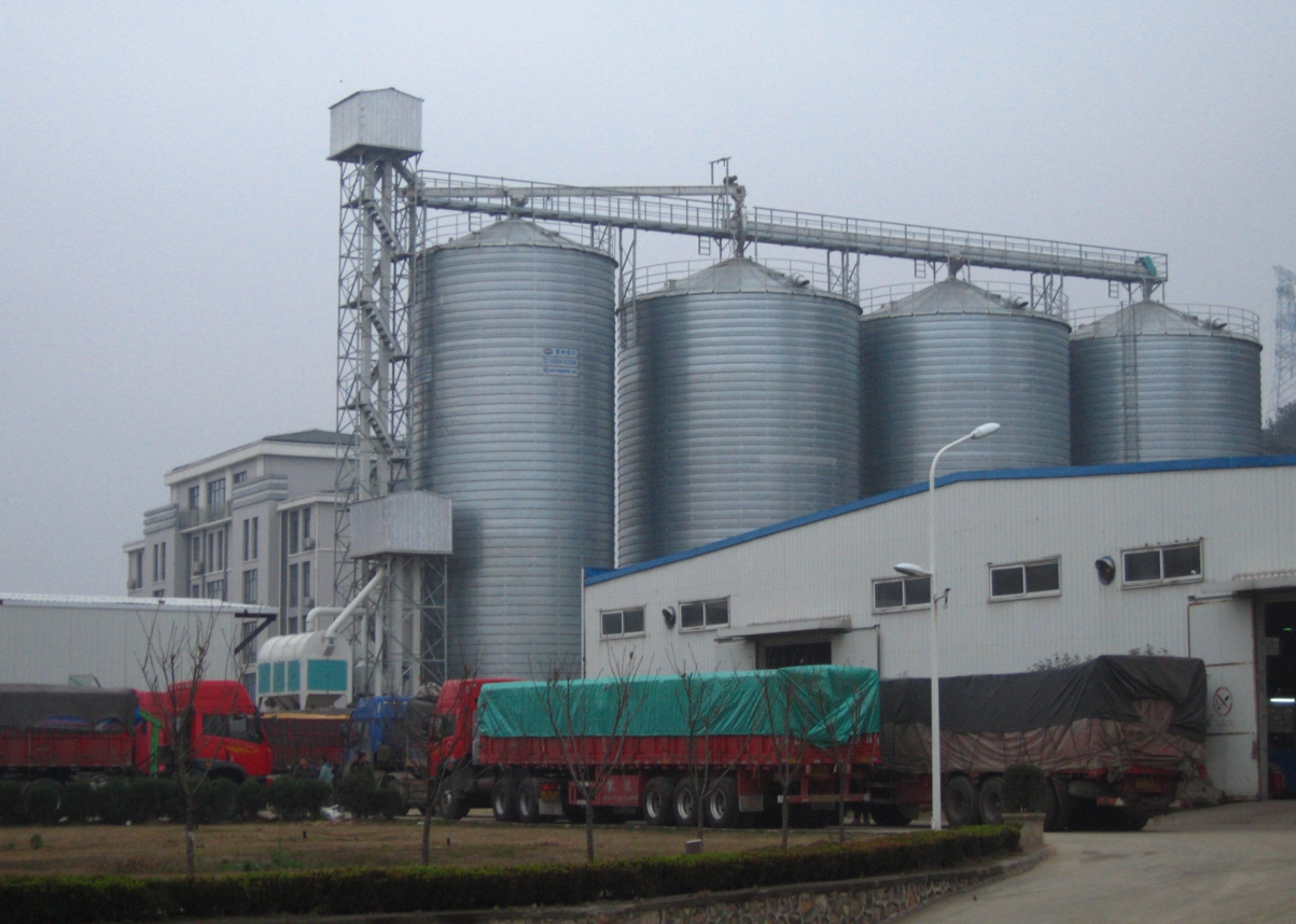 5000T Grain Storage Silo
